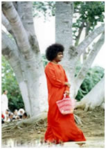 Sai baba